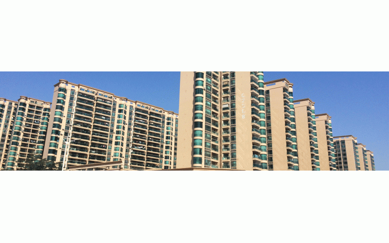 深圳的冬天終于來了，2015